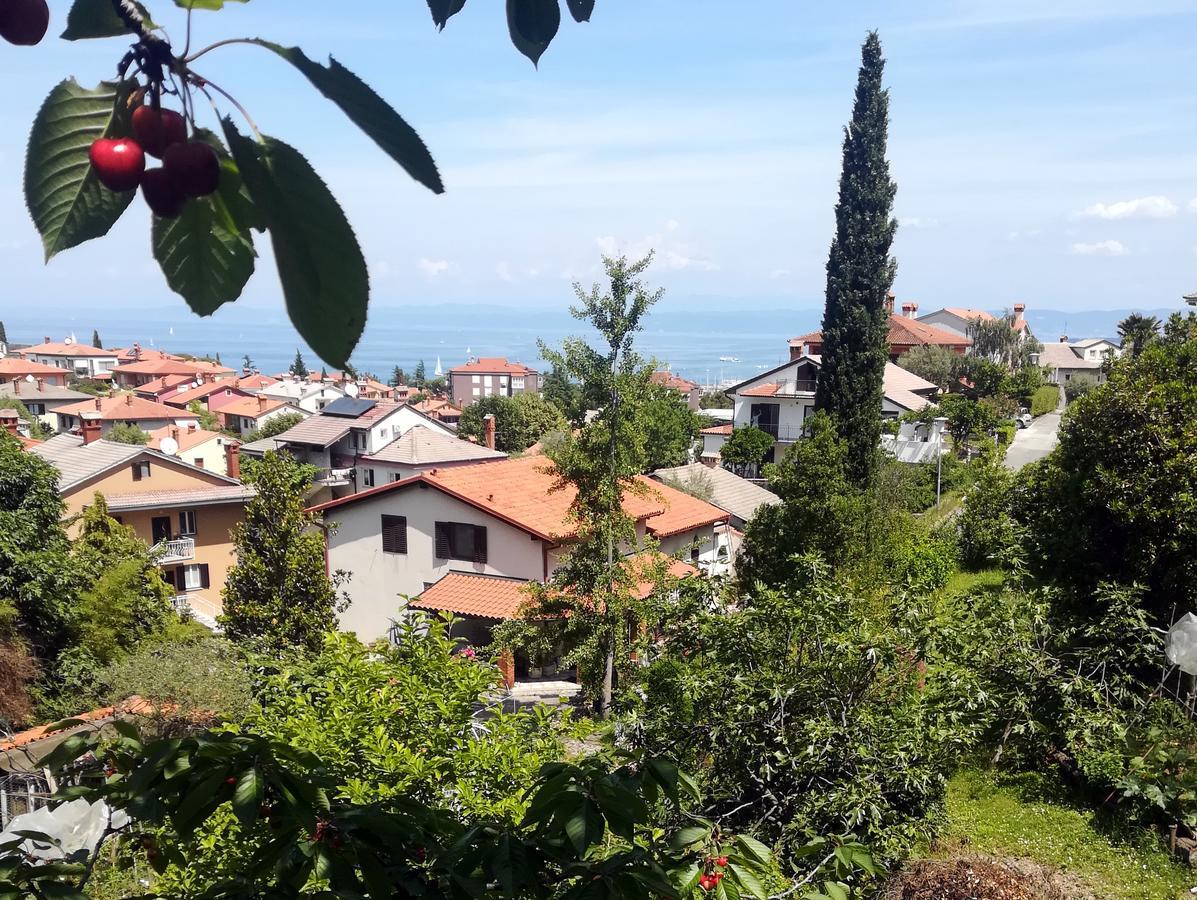 Seaside Parenzana Comfort With Free Parking Izola Dış mekan fotoğraf